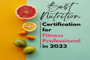 Best nutrition certification for fitness professional in 2023