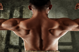 Muscle hypertrophy: Science behind Muscle Growth